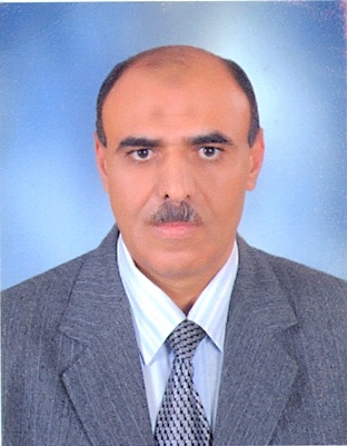 Reda El-Sayed Mohamed Omar